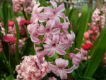 CIMG0071