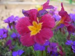 CIMG0076