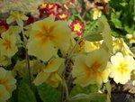 CIMG0077