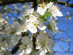 CIMG0095