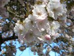 CIMG0099