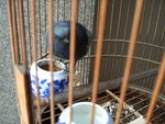 CIMG0033