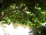 CIMG0055