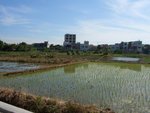 CIMG0069