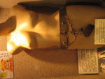 IMG_0098