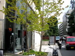 y-3 . aoyama