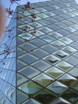 prada . aoyama