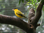 IMG_1940 c