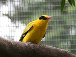 IMG_1942 c