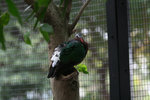 IMG_1953