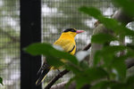 IMG_1962