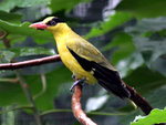 IMG_2000 c