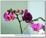2003 Dec 30 10