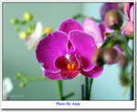 2003 Dec 30 12