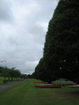 path