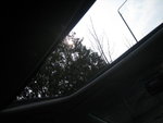 from the top of the car, hi trees X)