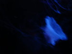 DSC00449