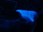 DSC00450