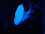 DSC00463