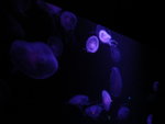 DSC00469