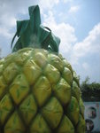 pineapple with water spraying out!