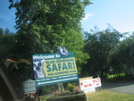 welcome!