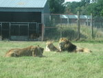 Picture 150