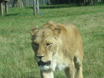 Picture 153