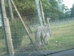 Picture 158