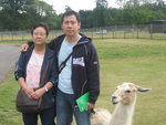 Picture 172
