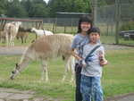 Picture 177