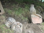 Picture 182