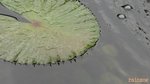 070612003 浮