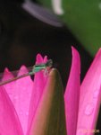 070612008 短聚