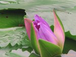 070612012 短聚