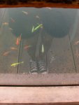 070611003 虛與實