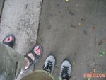 810013 四條腿走天涯