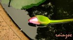 070304002