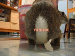 b0022 patpat