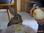 b0015 偷食