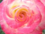 080227005