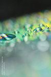 090704002
