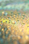 090704008
