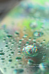 090704011