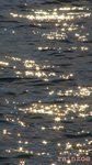 070531003 海水裡的星星