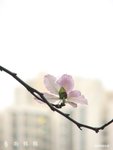 080322001