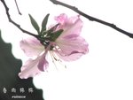 080322002