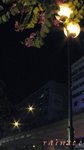 1103001 這夜,成雙,成對