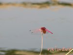 1106002