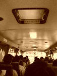 coach*